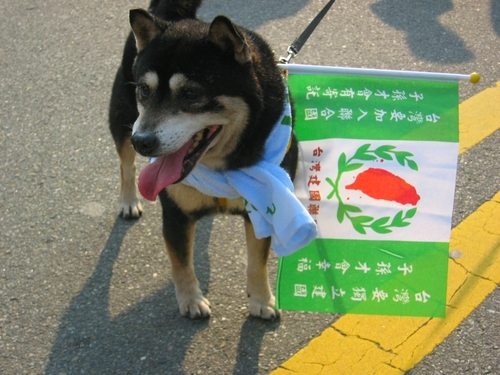 Dog with Taiwanese independence flag at March 18, 2006 march 