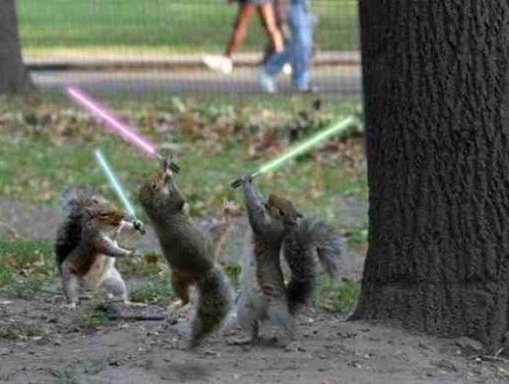 Three squirrels leaping on ground, each holding a little Jedi lightsaber