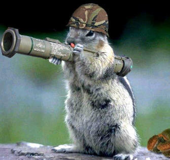 Squirrel in army helmet aims a rocket launcher