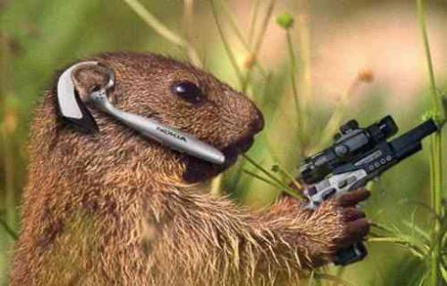 Squirrel wearing earpiece holds a high-tech pistol