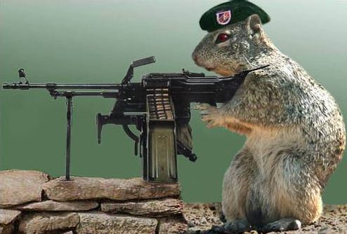 Beret-wearing squirrel mans a machine gun.
