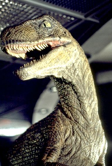 Raptor from Jurassic Park