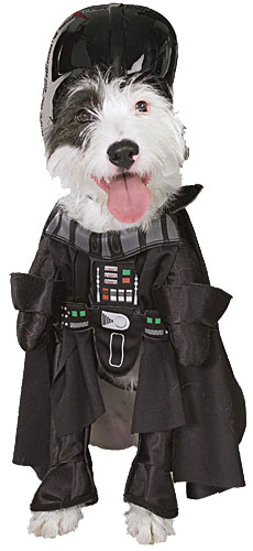 Happy white dog with black patch over right eye wears a Darth Vader costume
