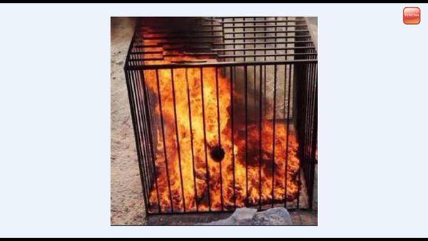 Jordanian pilot Lieutenant Moaz al-Kasasbeh completely engulfed in flames.