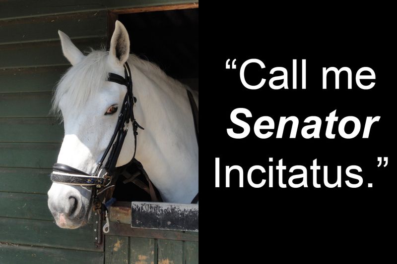 White horse in stable saying, 'Call me SENATOR Incitatus.'