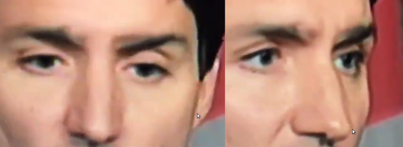 Canadian Prime Minister Justin Trudeau suffering eyebrow malfunction. (Dark eyebrow appears to be falling off.)